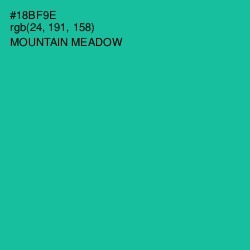 #18BF9E - Mountain Meadow Color Image