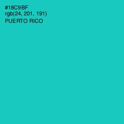 #18C9BF - Puerto Rico Color Image