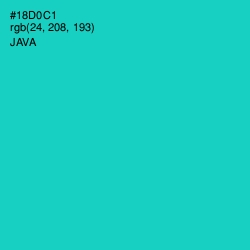 #18D0C1 - Java Color Image