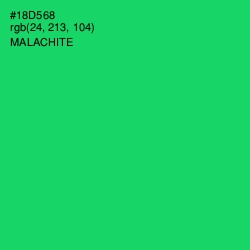 #18D568 - Malachite Color Image