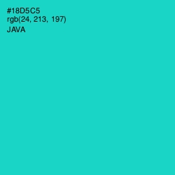 #18D5C5 - Java Color Image