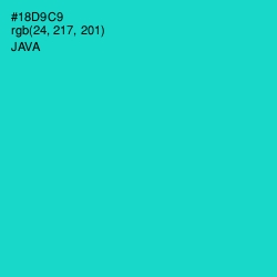 #18D9C9 - Java Color Image