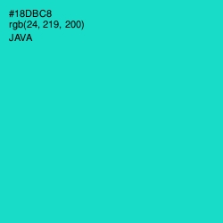 #18DBC8 - Java Color Image