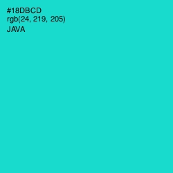 #18DBCD - Java Color Image