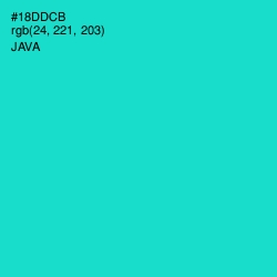 #18DDCB - Java Color Image