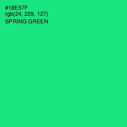 #18E57F - Spring Green Color Image