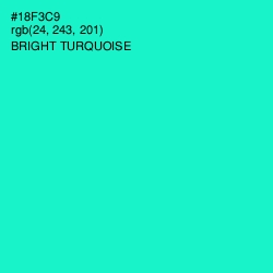 #18F3C9 - Bright Turquoise Color Image
