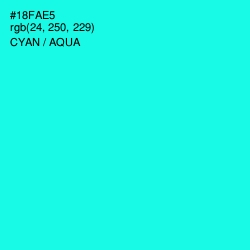 #18FAE5 - Cyan / Aqua Color Image