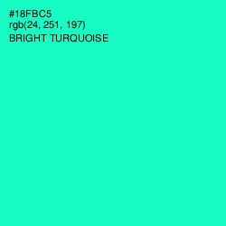 #18FBC5 - Bright Turquoise Color Image