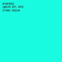 #18FBE0 - Cyan / Aqua Color Image
