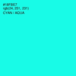 #18FBE7 - Cyan / Aqua Color Image