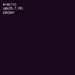 #19071C - Ebony Color Image