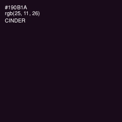 #190B1A - Cinder Color Image