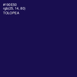 #190E50 - Tolopea Color Image