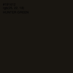 #191612 - Hunter Green Color Image