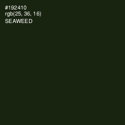 #192410 - Seaweed Color Image