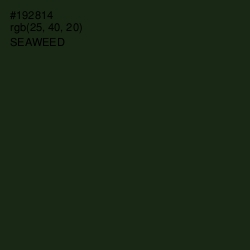 #192814 - Seaweed Color Image