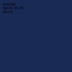 #192A55 - Blue Zodiac Color Image