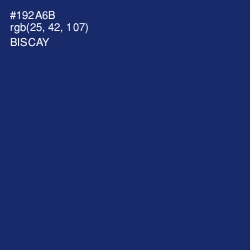 #192A6B - Biscay Color Image