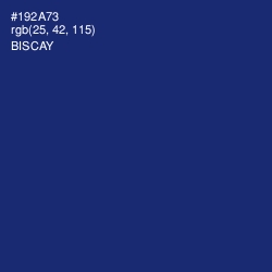 #192A73 - Biscay Color Image