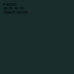 #192E2C - Timber Green Color Image