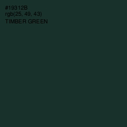 #19312B - Timber Green Color Image