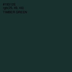 #19312E - Timber Green Color Image