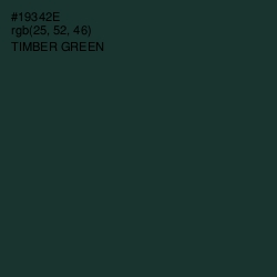 #19342E - Timber Green Color Image