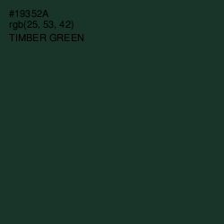 #19352A - Timber Green Color Image