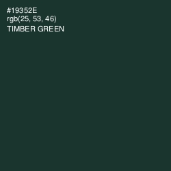 #19352E - Timber Green Color Image