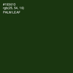 #193610 - Palm Leaf Color Image