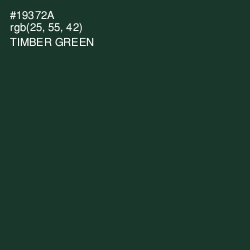 #19372A - Timber Green Color Image