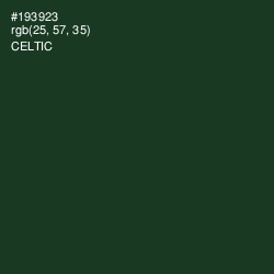 #193923 - Celtic Color Image