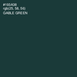 #193A38 - Gable Green Color Image