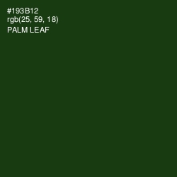 #193B12 - Palm Leaf Color Image