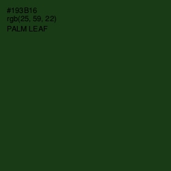 #193B16 - Palm Leaf Color Image