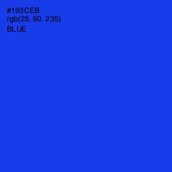 #193CEB - Blue Color Image