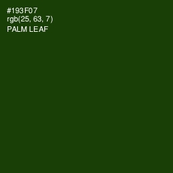 #193F07 - Palm Leaf Color Image