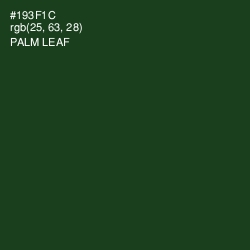 #193F1C - Palm Leaf Color Image