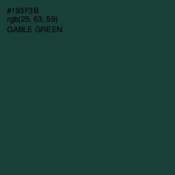 #193F3B - Gable Green Color Image