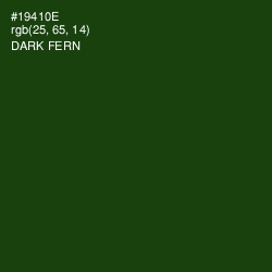 #19410E - Dark Fern Color Image