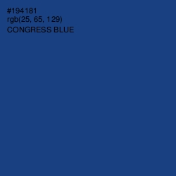 #194181 - Congress Blue Color Image