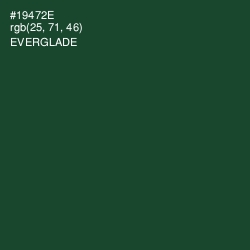 #19472E - Everglade Color Image