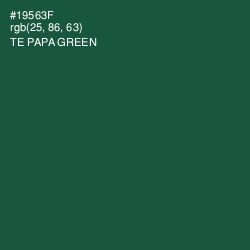 #19563F - Te Papa Green Color Image