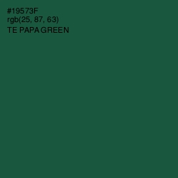 #19573F - Te Papa Green Color Image