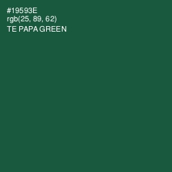 #19593E - Te Papa Green Color Image