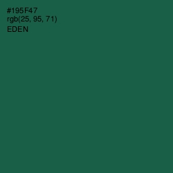 #195F47 - Eden Color Image