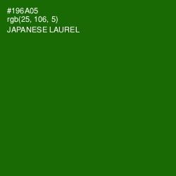 #196A05 - Japanese Laurel Color Image