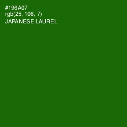 #196A07 - Japanese Laurel Color Image