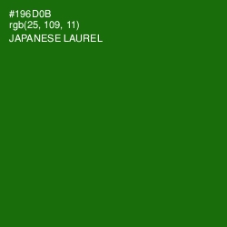 #196D0B - Japanese Laurel Color Image